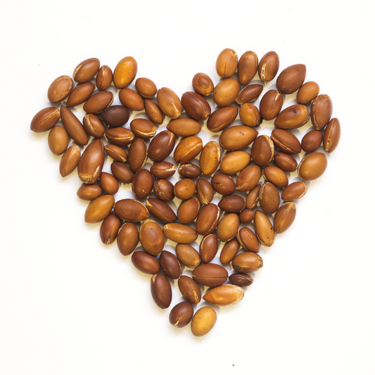 ARGAN NUTS IN HEART SHAPE